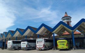 Jadwal Bus AKAP dari Bali ke Pulau Jawa Kamis 2 Mei 2024, Cek Harga Tiket Terbaru! - JPNN.com Bali