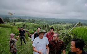 Sandiaga Uno Cek Desa Jatiluwih Bali, Siap Pamer Potensi ke Delegasi WWF ke-10 - JPNN.com Bali