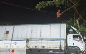 Pohon Trembesi Timpa Truk di Jembrana, Jalan Gilimanuk – Denpasar Macet - JPNN.com Bali