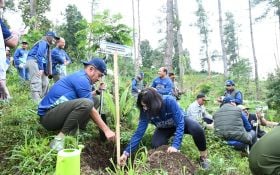 Pertamina Bikin Hijau Desa Besakih Karangasem, Reboisasi Kaki Gunung Agung Bali - JPNN.com Bali