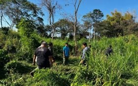 Pawang Bali Safari Tewas Diseruduk Gajah, Begini Kronologinya Versi Saksi Mata, OMG! - JPNN.com Bali