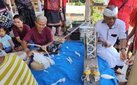 Kontribusi Koster Melindungi Kain Bebali Sangat Nyata, Siap Bantu Promosi & Cari Modal - JPNN.com Bali