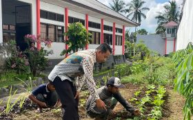 Rutan Bangli Terus Berinovasi, Manfaatkan Brangang Untuk Tanam Ubi & Sayur - JPNN.com Bali