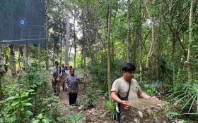 BKSDA Bali Melepasliarkan 310 Burung ke Alam Liar, Cegah Praktik Perdagangan Ilegal - JPNN.com Bali