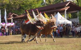 Kadispar Buleleng Bangga Pemuteran Bay & Lovina Festival Masuk Kalender KEN 2025 - JPNN.com Bali