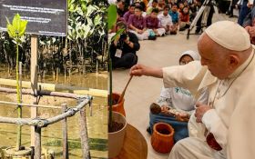 Mangrove yang Diberkati Paus Fransiskus di KEK Kura-Kura Bali Tumbuh Subur, Simbol Kasih - JPNN.com Bali