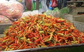 Harga Cabai Rawit di Surabaya Makin Pedas di Musim Hujan, Rp110-120 Ribu Per Kg - JPNN.com Jatim