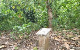 Kuburan Massal di Hutan Plumbon Semarang, Saksi Bisu Tragedi Berdarah 1965 - JPNN.com Jateng