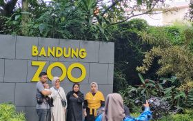 Yayasan Margasatwa Tamansari Tolak Penyitaan Aset Kebun Binatang Bandung - JPNN.com Jabar