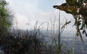 Mebakar Sampah Jadi Pemicu Kebakaran, Paling Banyak di Bantul  - JPNN.com Jogja