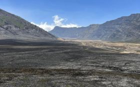 Kebakaran Hutan di Bromo Catatkan Kerugian Mencapai  Rp8,3 Miliar - JPNN.com Jatim