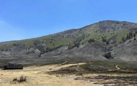 Kebakaran di Gunung Bromo Tercatat Kerugian Capai Rp5,4 Miliar - JPNN.com Jatim
