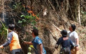 Kebakaran Hutan 10 Hektare, Jalur Pendakian Gunung Budheg Tulungagung Ditutup - JPNN.com Jatim