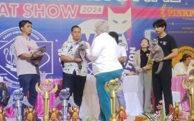 Melihat Ratusan Jenis Kucing Ras Adu Kecantikan di Surabaya - JPNN.com Jatim