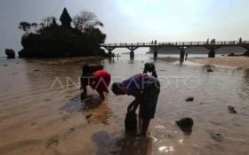 Pengunjung Keluhkan Pungli di Wisata Pantai Balekambang Malang, Polisi Turun Tangan - JPNN.com Jatim
