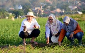 Pemerintah Kota Semarang Siap Selesaikan Kawasan Kumuh - JPNN.com Jateng