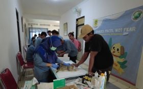 DKPP Kota Bogor Siapkan 500 Dosis Vaksin Rabies untuk Menyambut WRD 2024 - JPNN.com Jabar