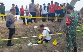 Geger Pembuangan Mayat Bayi di Persawahan Bojonegoro, Pelaku Pasangan Muda - JPNN.com Jatim