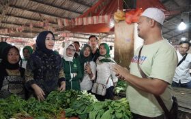 Gerebek Pasar Cianjur, Cawagub Gita KDI Kampanyekan Program UMKM dan Pasar Bahagia - JPNN.com Jabar