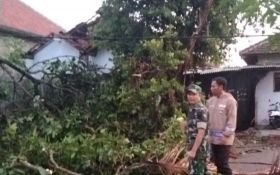 Puluhan Rumah di Trenggalek Rusak Diterjang Angin Puting Beliung - JPNN.com Jatim