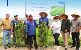 Mendukung Ketahanan Pangan, Jasa Tirta II Mengairi Irigasi 240 Ribu Hektar Sawah - JPNN.com Jabar