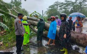 Sejumlah Wilayah di Trenggalek Dilanda Longsor & Pohon Tumbang - JPNN.com Jatim