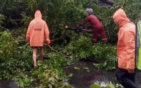 Cuaca Ekstrem: Banjir, Longsor hingga Pohon Tumbang Menerjang Semarang - JPNN.com Jateng