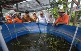 Menko Zulhas Puji Urban Farming Surabaya, Dinilai Wujudkan Ketahanan Pangan Nasional - JPNN.com Jatim