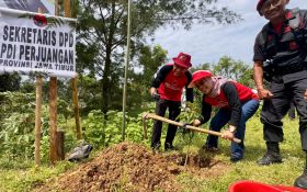 Dukung Kelestarian Alam, PDI Perjuangan Jatim Tanam 2.500 Bibit Pohon di Malang - JPNN.com Jatim