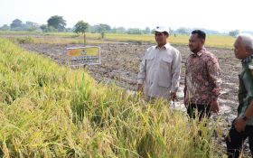 Kelompok Tani di Gresik Keluhkan Irigasi, Mentan Janjikan Mesin Combine & Hand Traktor - JPNN.com Jatim