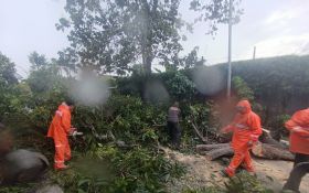 Angin Kencang Terjang Bangkalan, 13 Rumah Rusak & Lansia Patah Tulang Tertimpa Tembok - JPNN.com Jatim