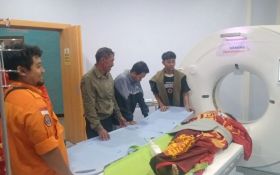 Angin Kencang Rusak 4 Rumah dan Tumbangkan Pohon di Jember, 1 Warga Terluka - JPNN.com Jatim