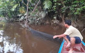 Nasib Sungai Sambas di tengah Hegemoni Perkebunan Sawit - JPNN.com Jogja