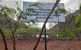 Cerita dari 2 Desa di Gunungkidul, Sumber Biomassa Indonesia di Masa Depan - JPNN.com Jogja