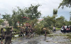 Hujan dan Angin Kencang di Surabaya Akibatkan Pohon Tumbang & Atap Berterbangan - JPNN.com Jatim