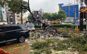 Hujan Deras Disertai Angin di Surabaya, 7 Pohon Tumbang 2 Bangunan Runtuh - JPNN.com Jatim