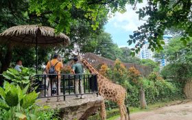 Kebun Binatang Bandung Masih Jadi Primadona Wisata Keluarga di Libur Nataru 2024 - JPNN.com Jabar