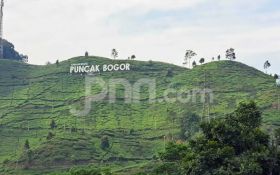 253,66 Hektare Izin Eiger Adventure Land Dikeluarkan Kemenhut - JPNN.com Jabar