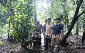 Pemkot Depok Bakal Merevitalisasi Tahura Cagar Alam - JPNN.com Jabar