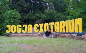 Serunya Melihat Satwa di Mini Zoo Jogja Exotarium, Yuk, Intip Wahananya - JPNN.com Jogja