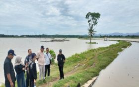 Ratusan Hektare Sawah di Kulon Progo Terendam Banjir, Ini Sebabnya - JPNN.com Jogja