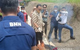 Musnahkan Ganja dan Sabu-sabu Sebanyak Ini, BNNP Kaltim Beri Penegasan Begini - JPNN.com Kaltim