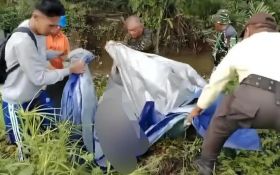 Seorang Pemancing di Kutim Tewas Diterkam Buaya, Tubuh Korban Saat Ditemukan Tak Utuh - JPNN.com Kaltim