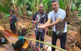 FAO Menjajaki Kerja Sama untuk Dukung Petani Papua - JPNN.com Papua