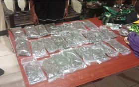 TNI AL Berhasil Amankan Kurir Penyelundupan 600 Gram Ganja di Jayapura - JPNN.com Papua