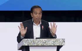 Presiden Jokowi kepada Investor: Tidak Perlu Khawatir, Investasi Anda Aman Termasuk Pembangunan IKN - JPNN.com Sumut