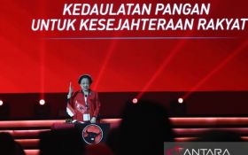 Megawati Minta Jokowi Kaji Ulang Impor Gandum: Lidah Rakyat Tak Boleh Terjajah Makanan Impor - JPNN.com Sumut