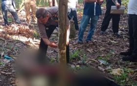 Seorang Laki-laki di Simalungun Ditemukan Tewas di Perladangan Kopi - JPNN.com Sumut