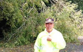 Pohon Tumbang Tutup Akses Jalan Menuju Kota Parapat, Polsek Parapat dan Warga Bergerak - JPNN.com Sumut