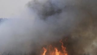 Dunia Hari Ini: Israel Berlakukan Keadaan Darurat Akibat Kebakaran Hutan - JPNN.com
